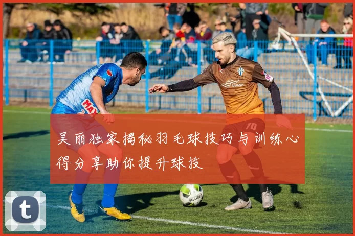 吴丽独家揭秘羽毛球技巧与训练心得分享助你提升球技