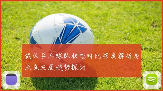 武汉乒乓球队状态对比深度解析与未来发展趋势探讨