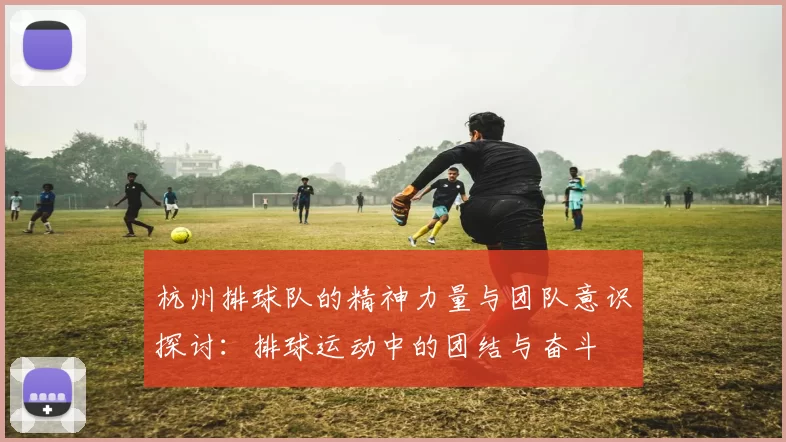 杭州排球队的精神力量与团队意识探讨：排球运动中的团结与奋斗