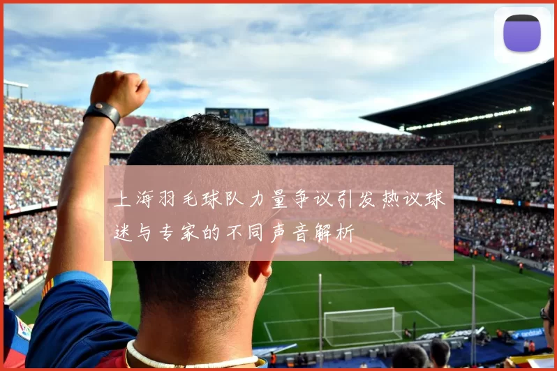 上海羽毛球队力量争议引发热议球迷与专家的不同声音解析